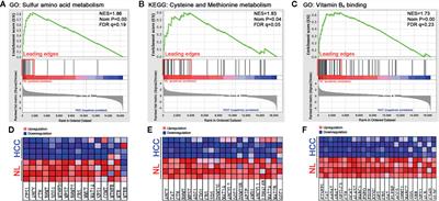 Metabolic Reprogramming of Sulfur in Hepatocellular Carcinoma and Sulfane Sulfur-Triggered Anti-Cancer Strategy